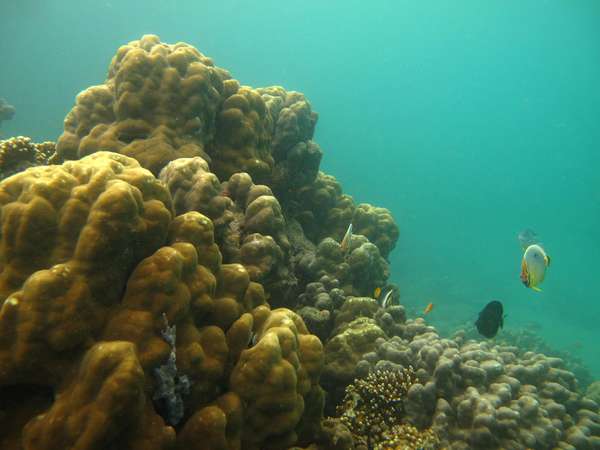 Cubadak, Perfect Paradise Divers in West Sumatra | ENJOY YOUR TRAVELLING