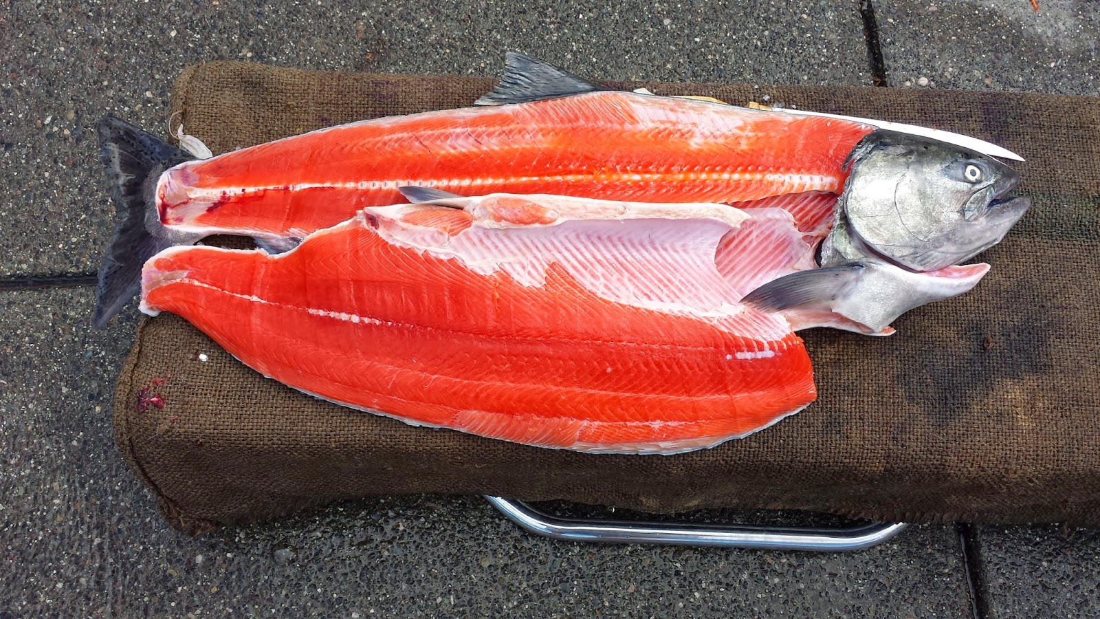 форель натуральный цвет. форель натуральный цвет. форель радужная филе. форель с белым мясом. форель натуральный цвет.