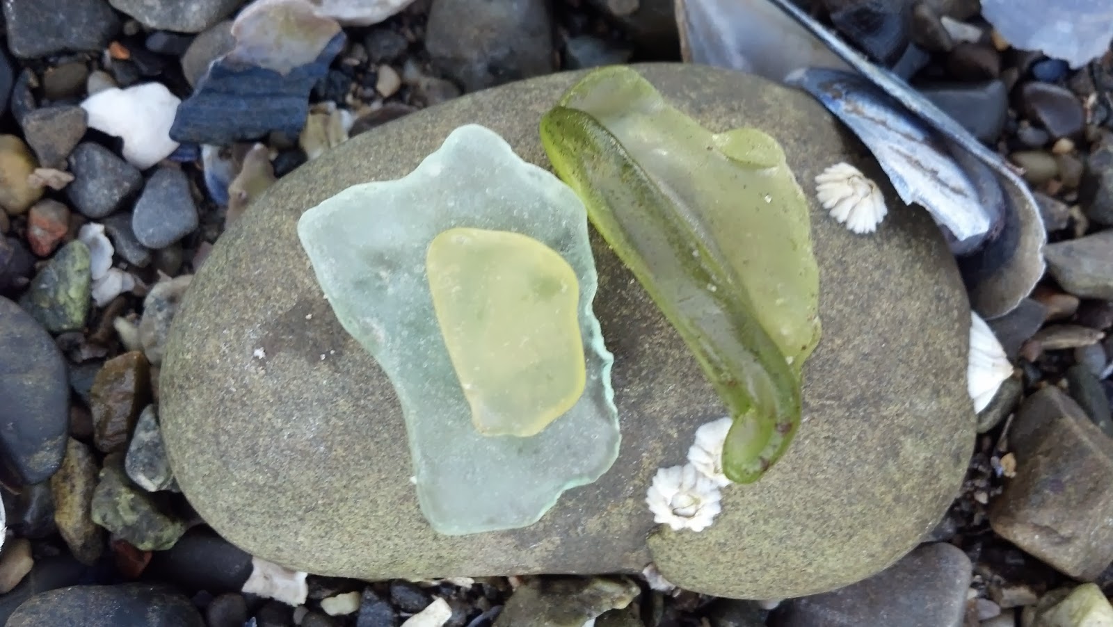 Life's a Trip Bar Harbor Sea Glass