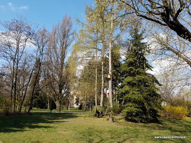 Warszawa Warsaw Mokotów Sadyba teren zielony park
