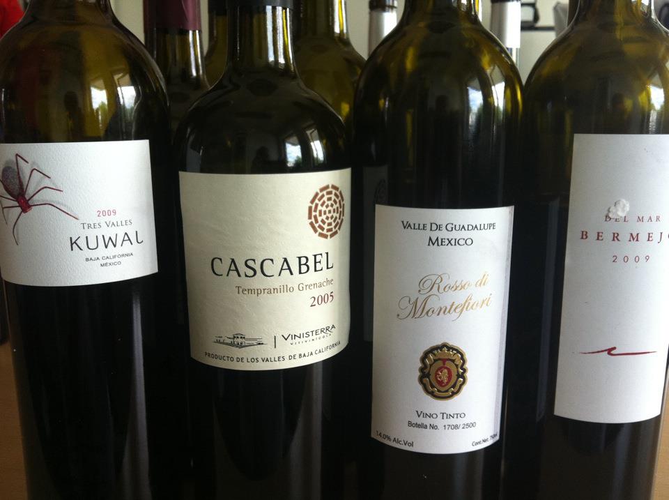 The secrets from the Chef & Sommelier Mexican wines Los vinos de Mexico