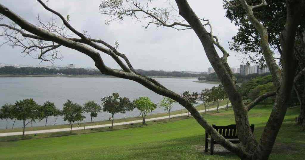 Singapore Walking Routes Bedok Reservoir Tampines Quarry