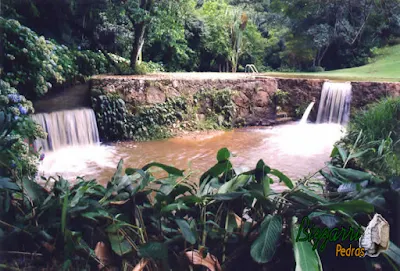 Construção da piscina natural com parede de pedra rústica com os muros de pedra com a ducha da piscina e a execução do paisagismo natural.