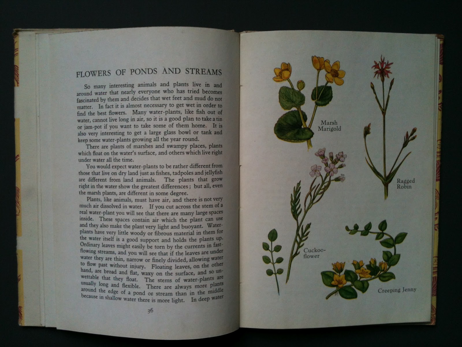Moss Favourite flower books