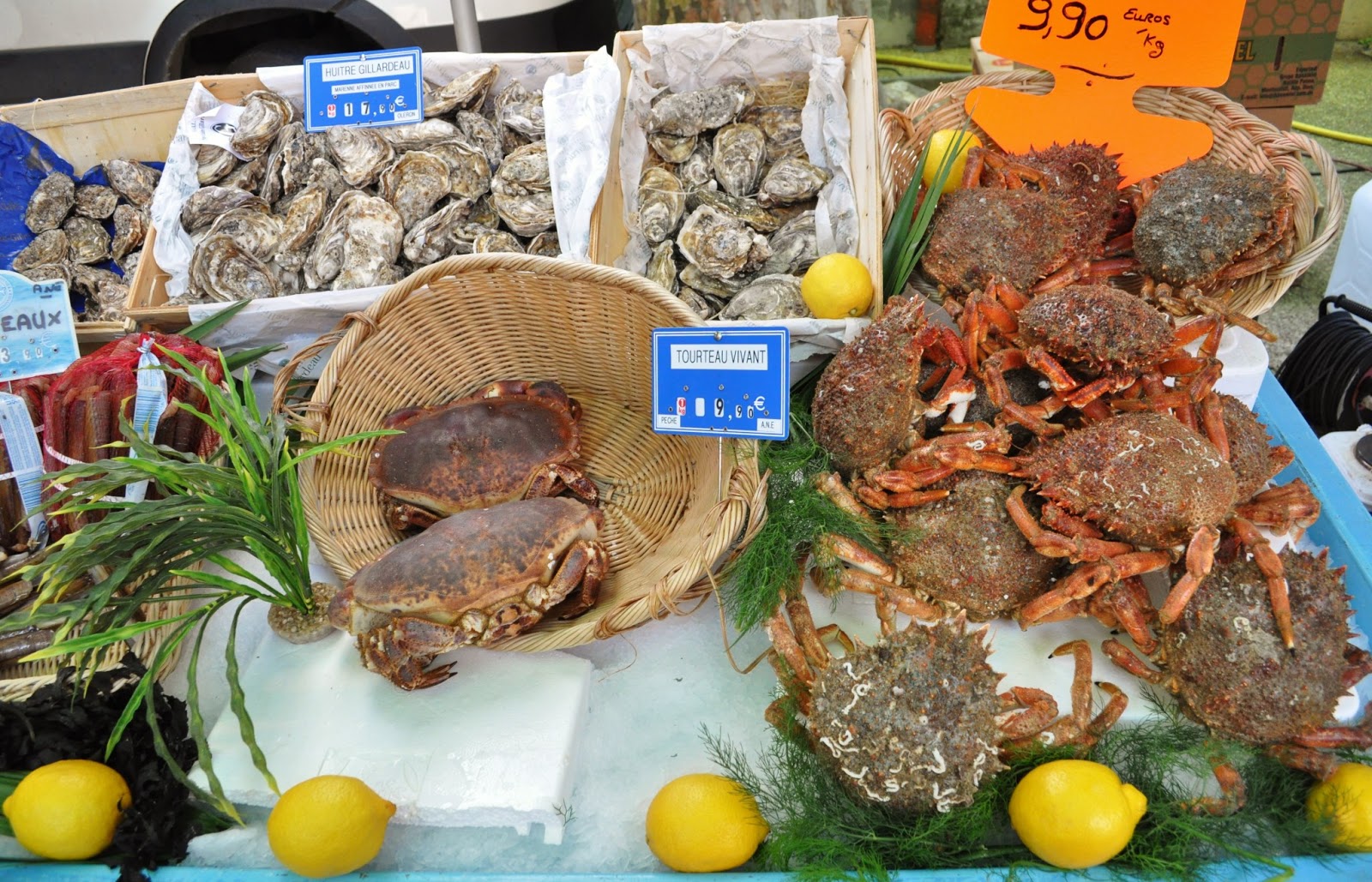 Our House in Provence, the Most Beautiful Region of France SainteCécilelesVignes, home to