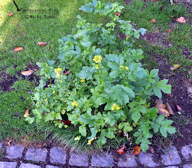 Hohenaspe Eine Gemeinde Stellt Sich Vor Ausflugsziele In Die