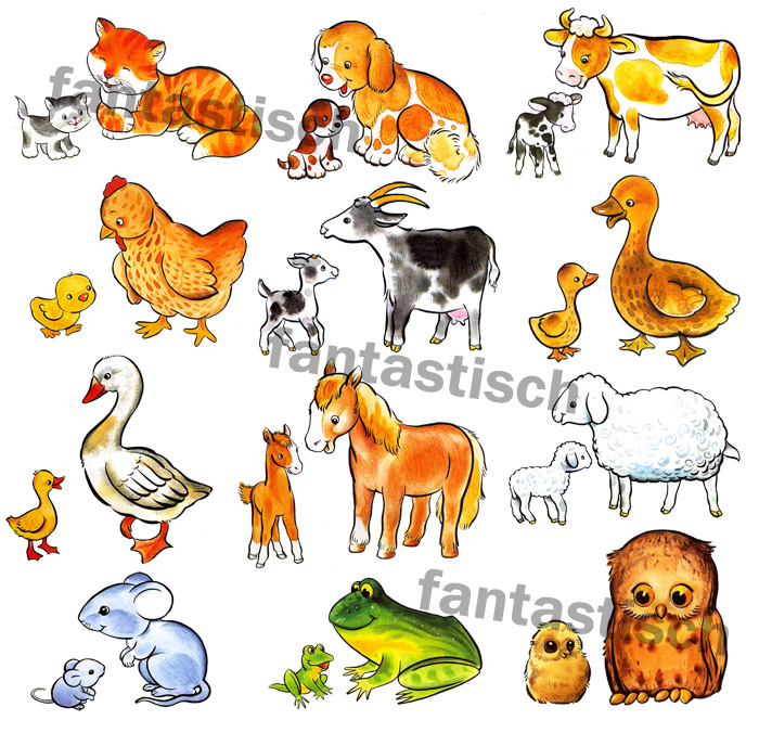 Играем до школы Птицы, животные и их детеныши. Картинки