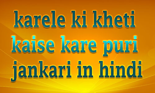 karele-ki-kheti-kaise-kare-puri-jankari-hindi