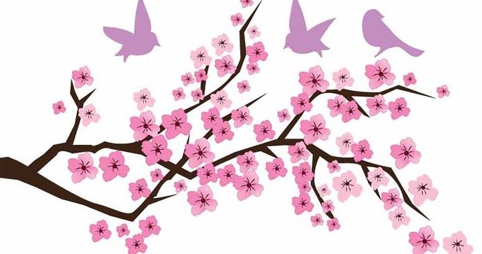 Sketsa Bunga Contoh Lukisan Bunga Sakura Yang Mudah Ditiru