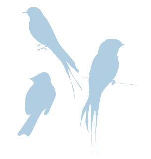 blue silhouette birds free download png transparent background
