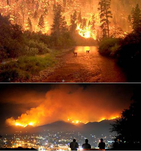 kebakaran-california