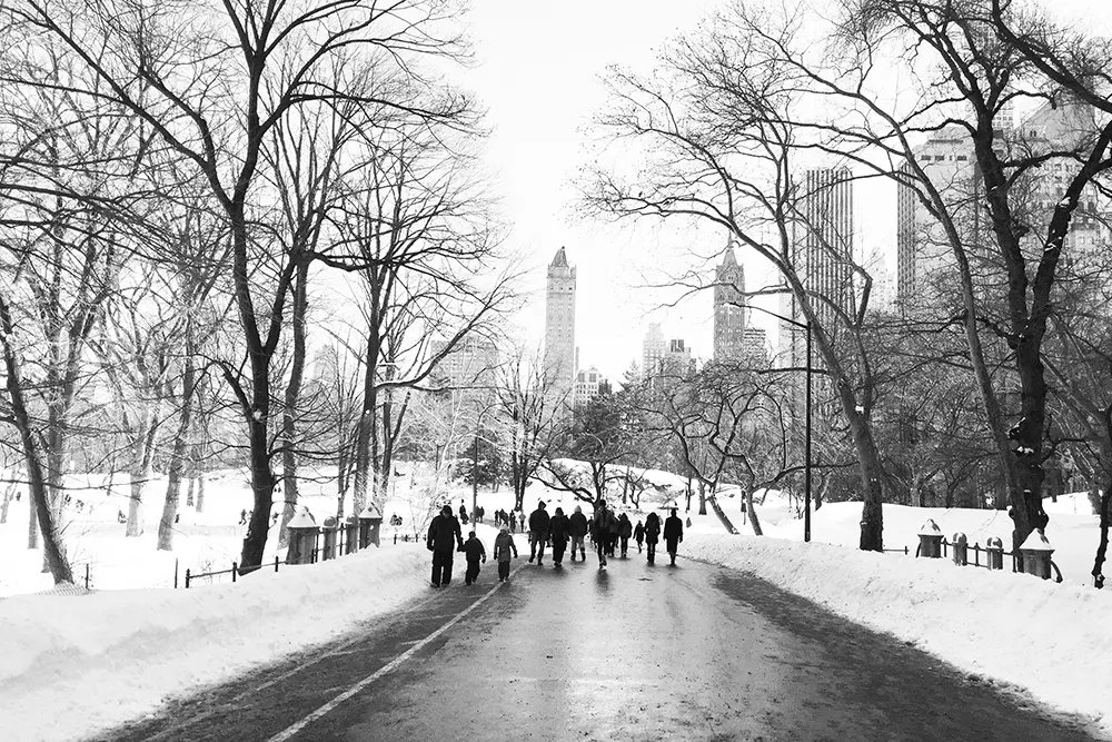 Snowy Central Park, New York - travel blog