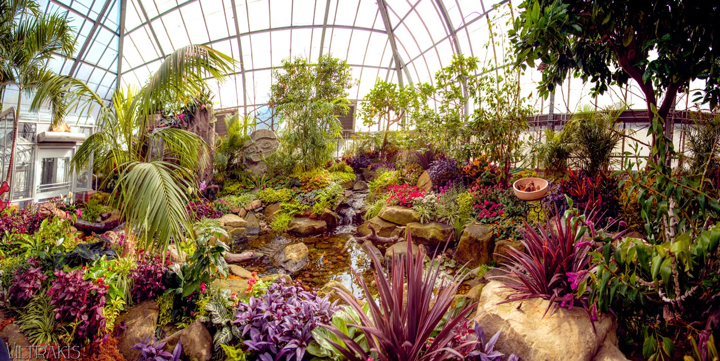 Photography from Nicholas Viltrakis Krohn Conservatory Butterfly Show 2014