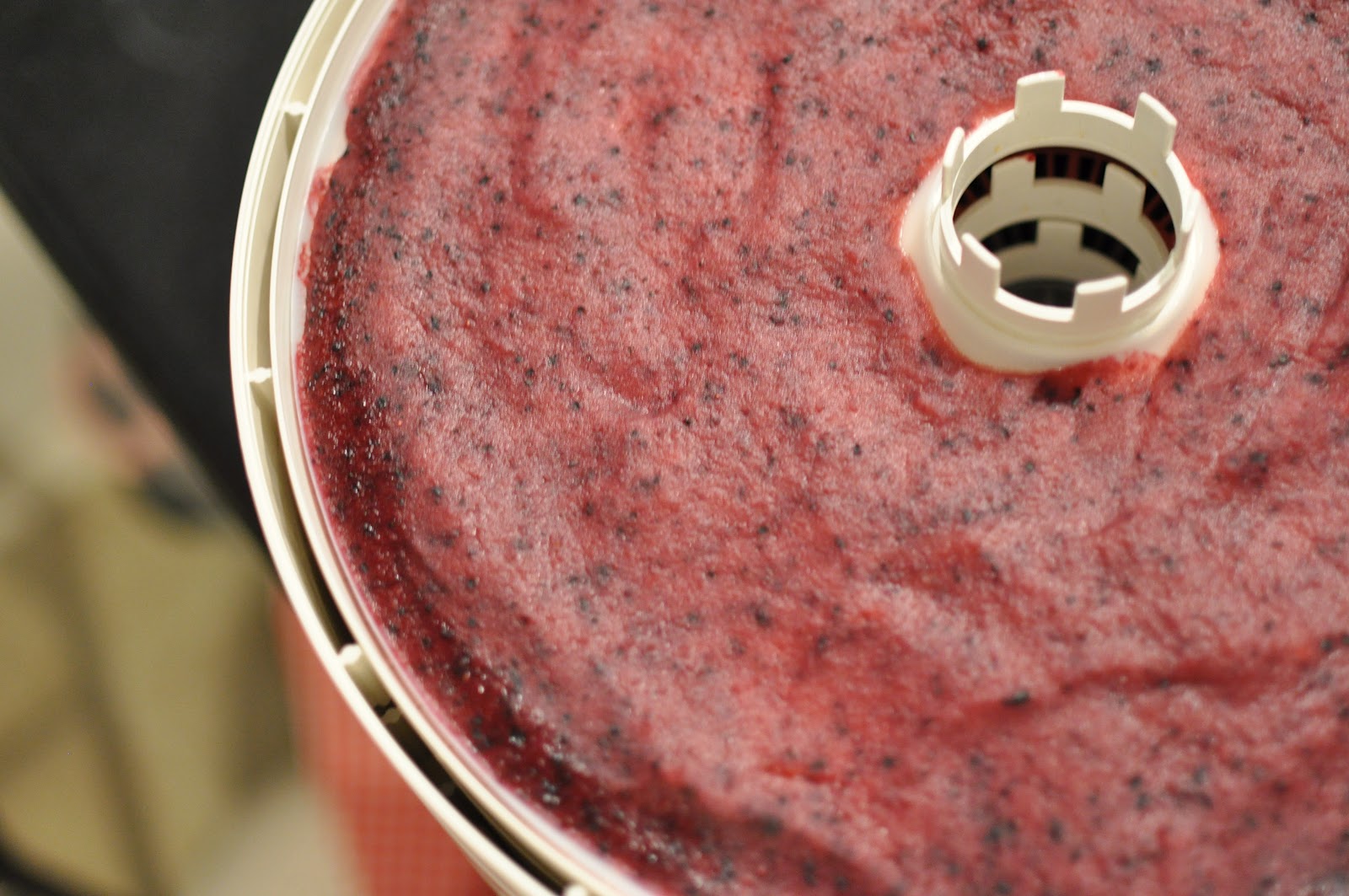 Domestic Fashionista Homemade Apple Sauce and Dehydrated Fruit Roll Ups