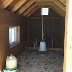 chicken coop pallets build chickens pallet inside barn winter things