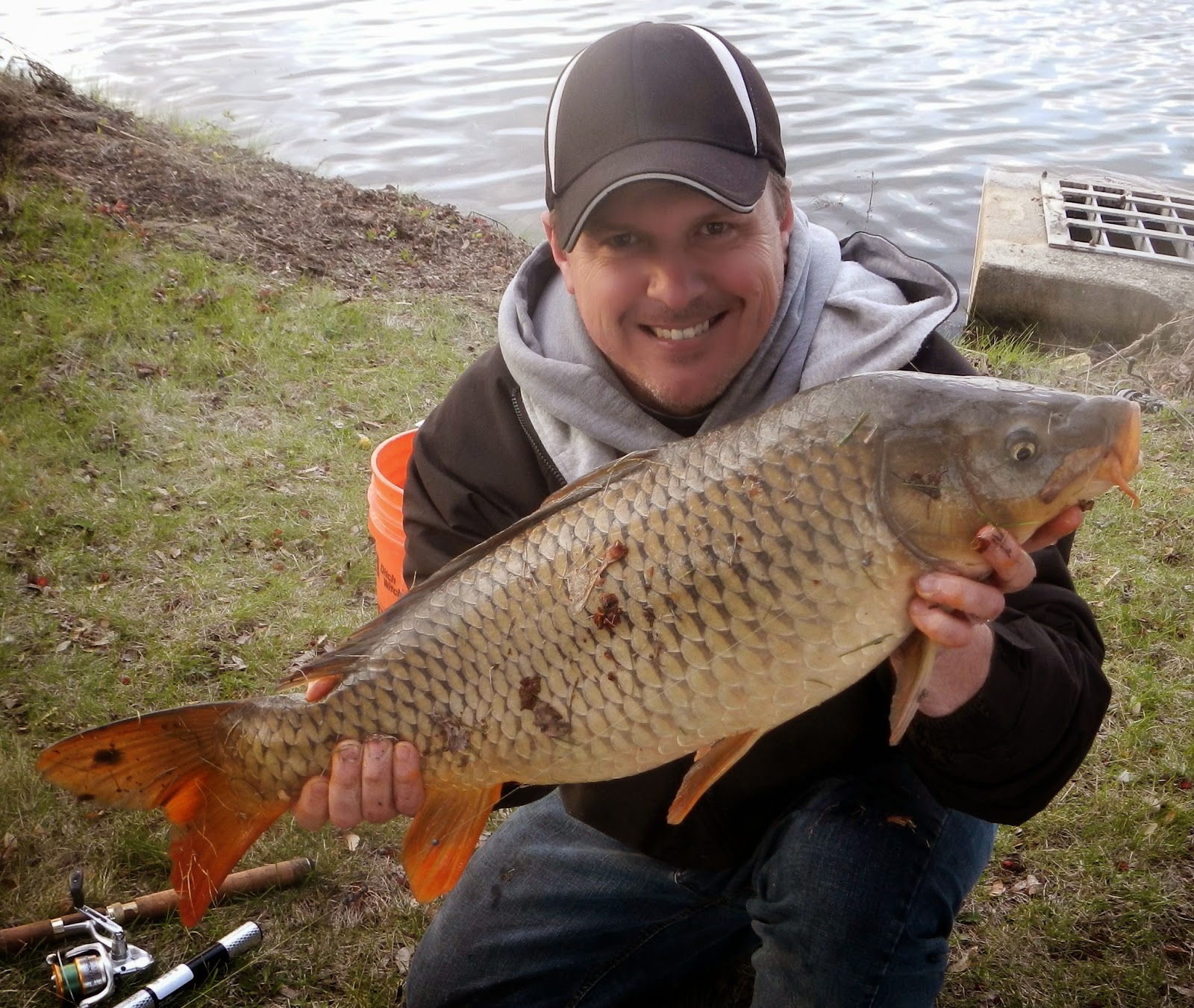 Pondboy's Angling Adventures Post Rain Chum Keeps Big Carp Around with