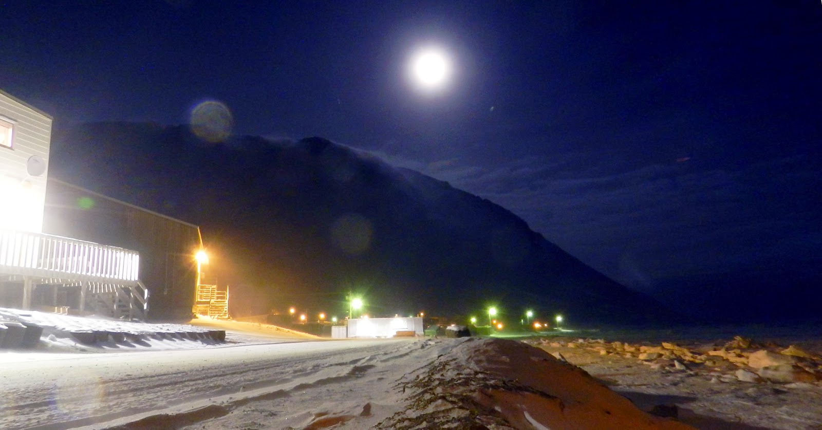 Elfshot Moonlit Grise Fiord