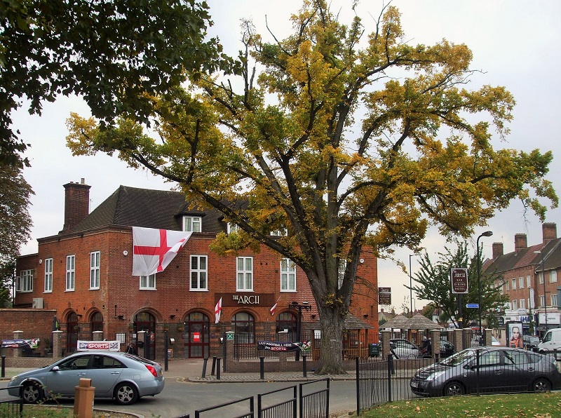 WEMBLEY MATTERS The Wembley Elm why is it special?