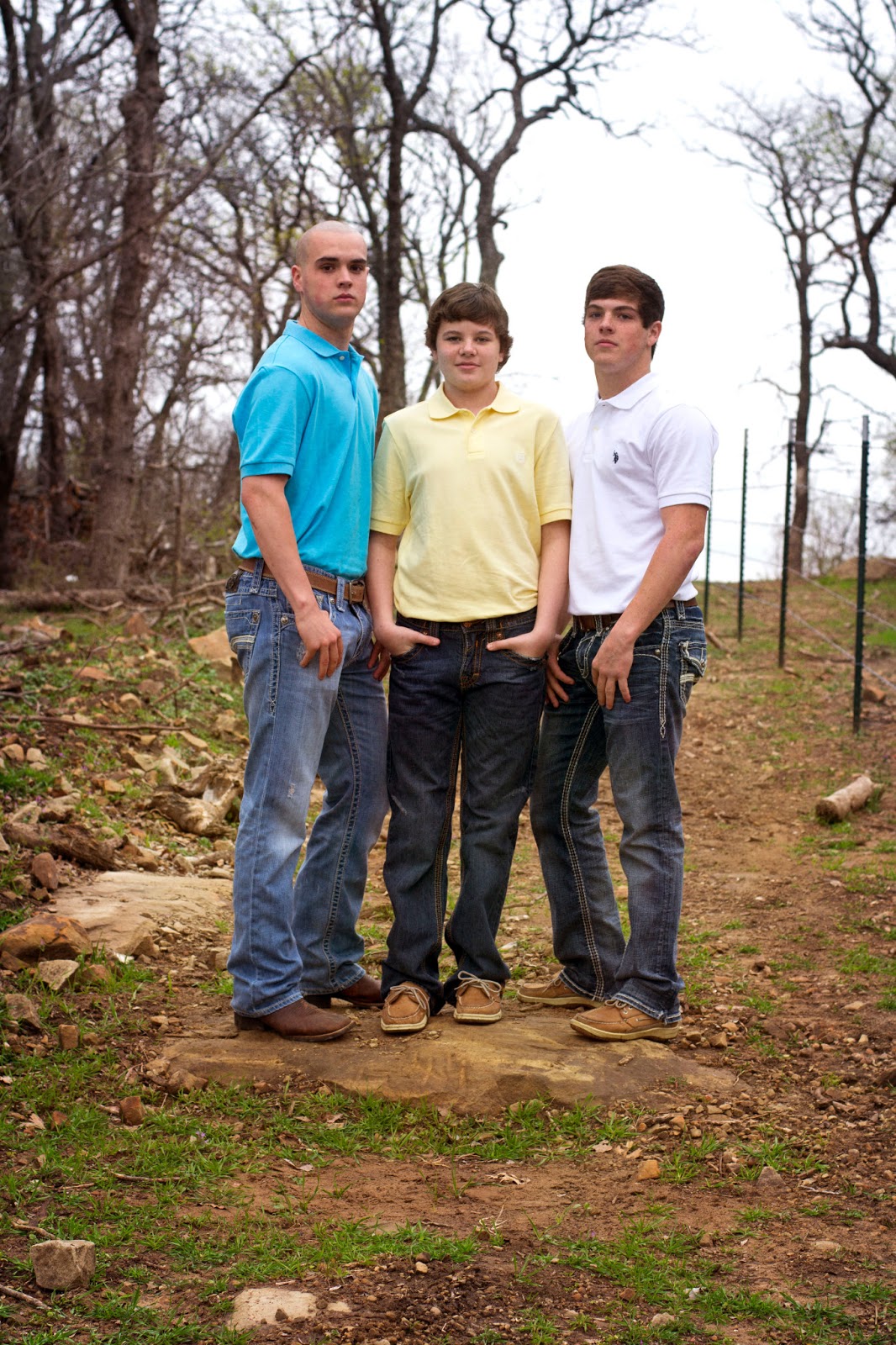 3 birds photos: The Collins Family