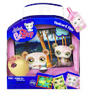 Littlest Pet Shop Postcard Pets Panda (#904) Pet