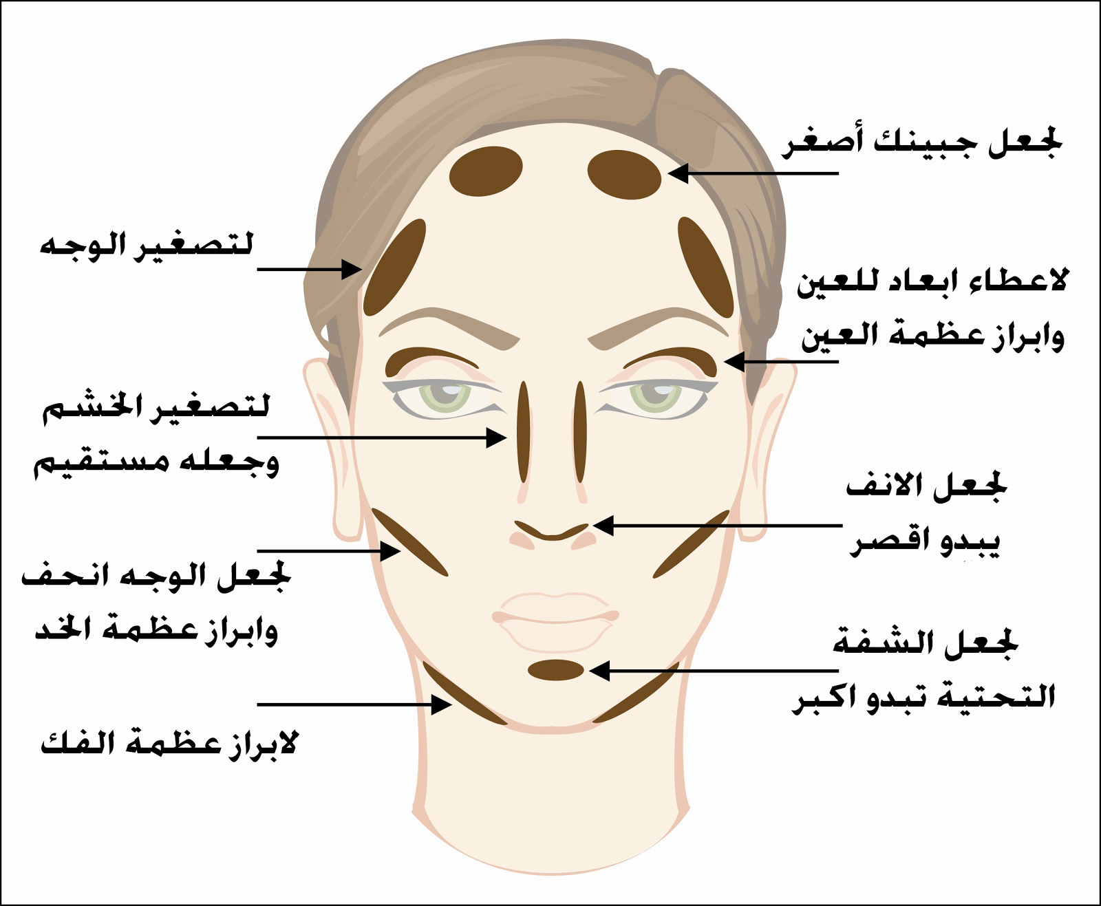 Контуринг лица схема для начинающих