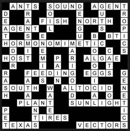 particulars in slang crossword clue particulars in slang crossword clue