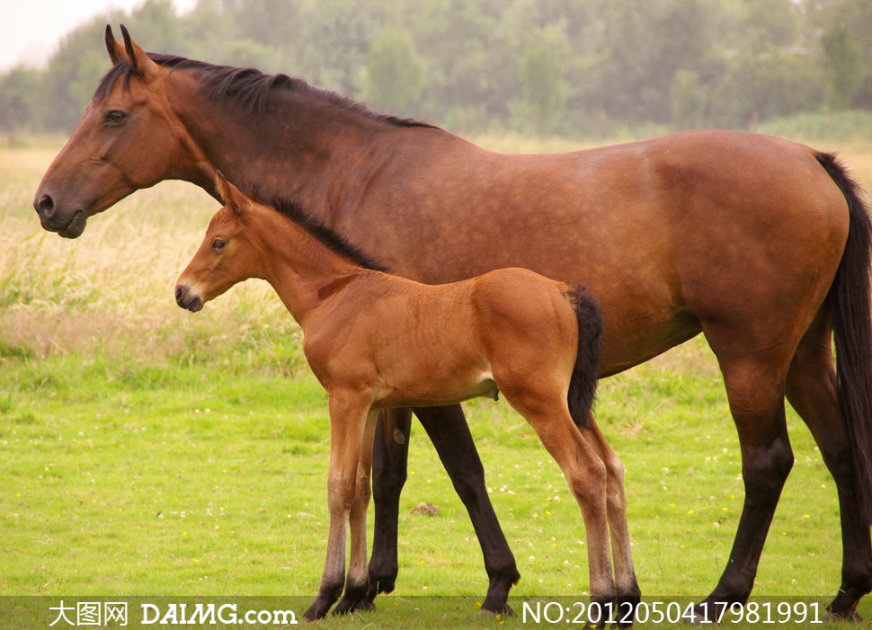 Day3 Kampusfiksi 10 Days Writing Challenge