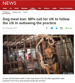 Dog meat ban: MPs call for UK to follow the US in outlawing the practice