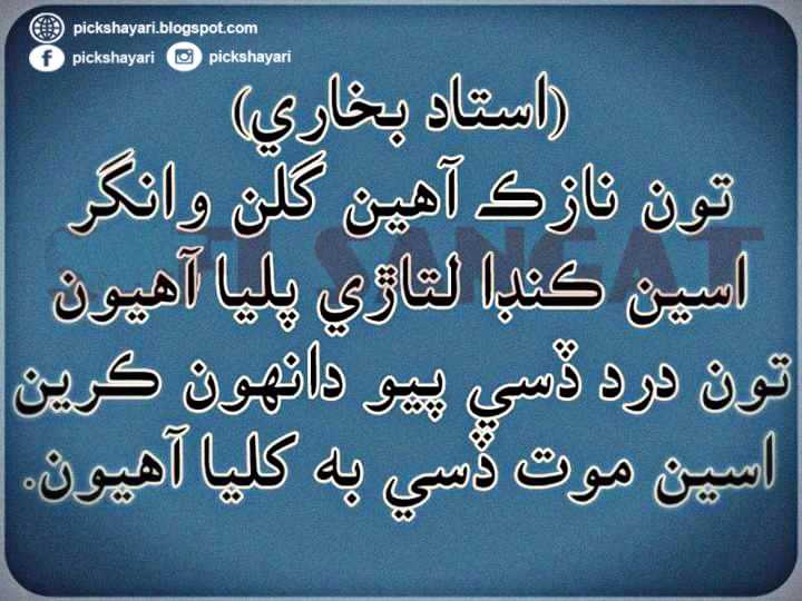 sindhi poetry sms in sindhi language send ms sindhi poetry sms in sindhi language send ms