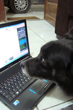 O cyber cão