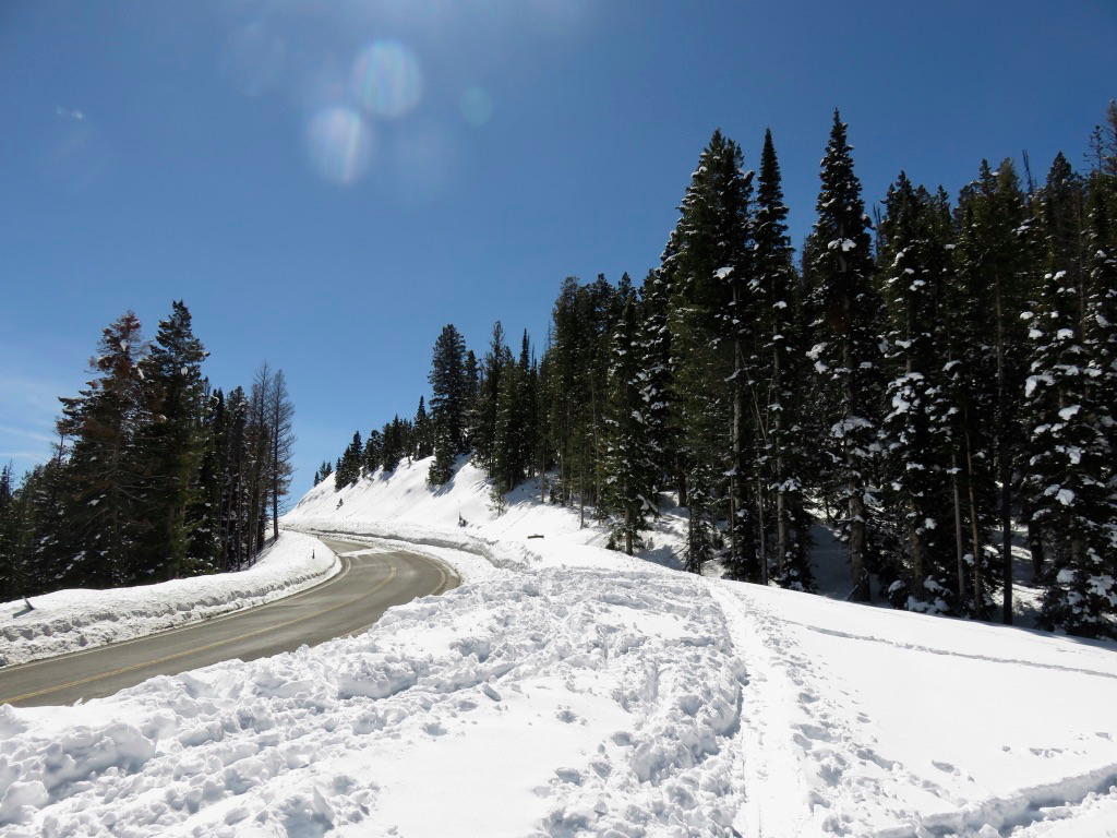 Mores Creek Summit Backcountry Skiing Galena Summit March 26, 2018
