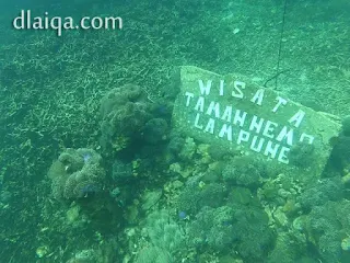 Wisata Taman Nemo, Lampung