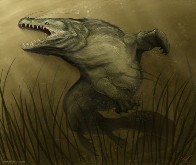 Диковинные зверушки Brynn 16