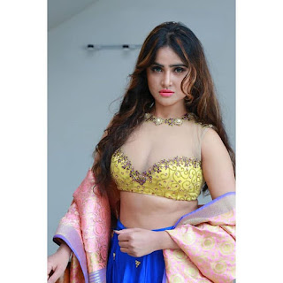 Sony Charishta latest in transparent lace blouse Navel Queens Sony Charishta latest in transparent lace blouse Navel Queens