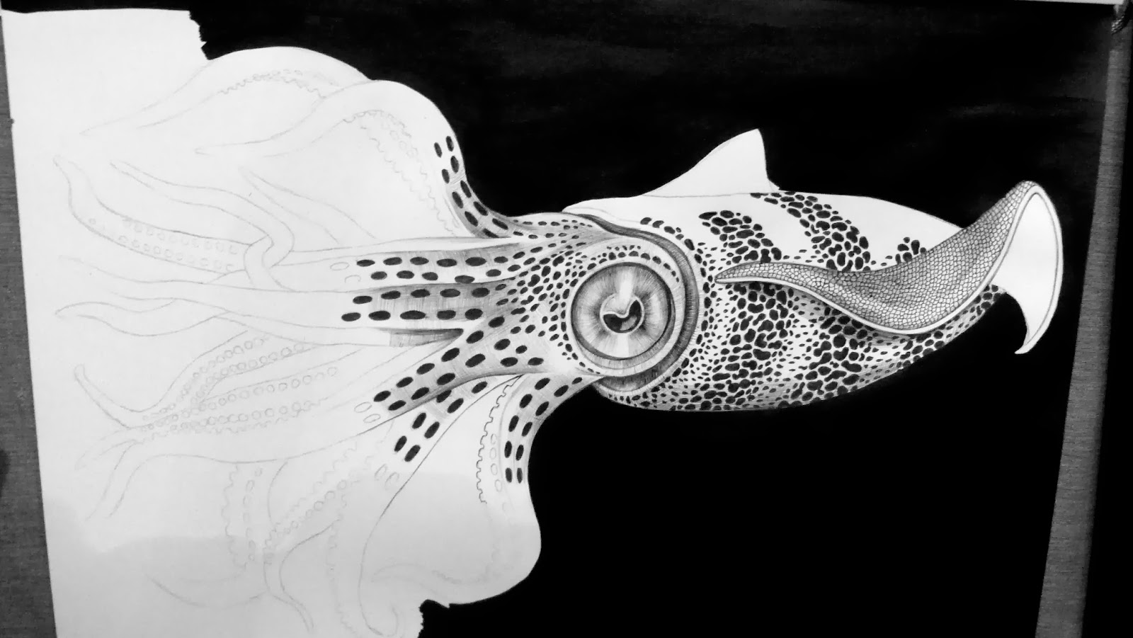 Tim Jeffs Art