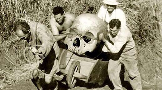 Institución Smithsonian admite a destruir miles de gigantes esqueletos humanos en principios de 1900