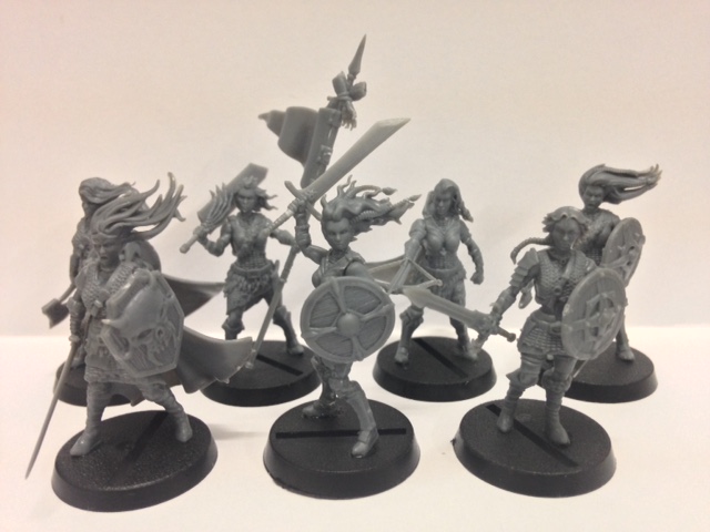 Shield Maidens - BADGER GAMES