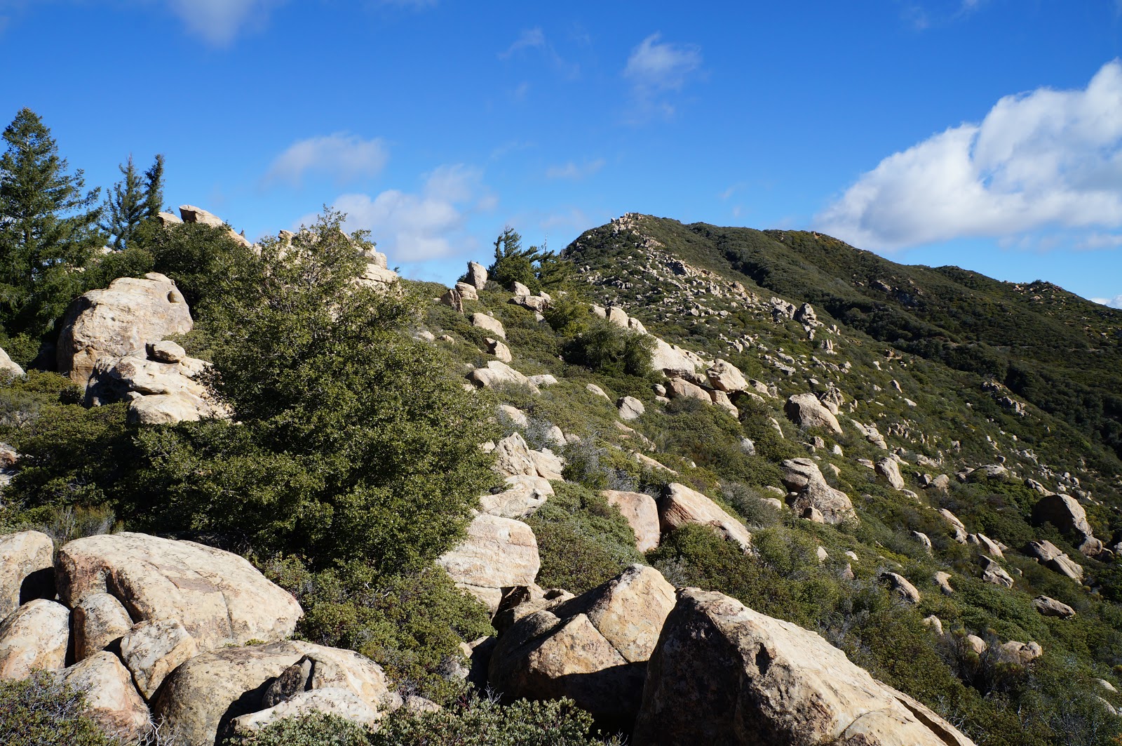 David Stillman King's Crest (Peak 4864) and an attempt at White Ledge