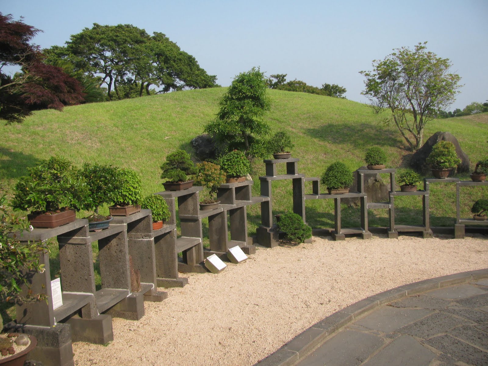 JejuSi is the place to be Jeju's Spirited Gardens