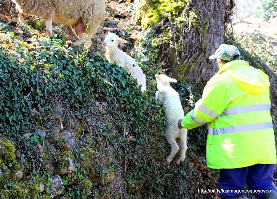 Las Médulas. Ponferrada. León. España