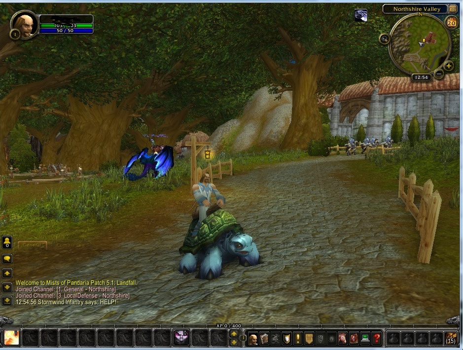 world of warcraft phoenix mount world of warcraft phoenix mount