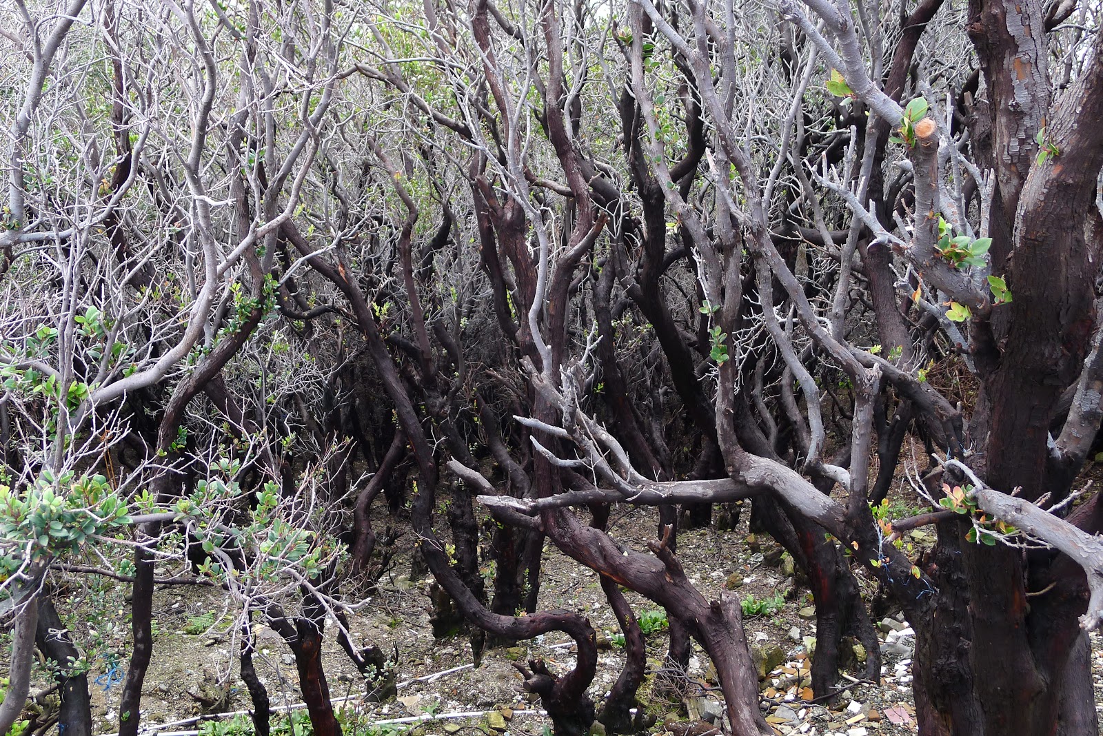 Pakej Percutian Indonesia 5H 4M Pakej Percutian Jakarta 