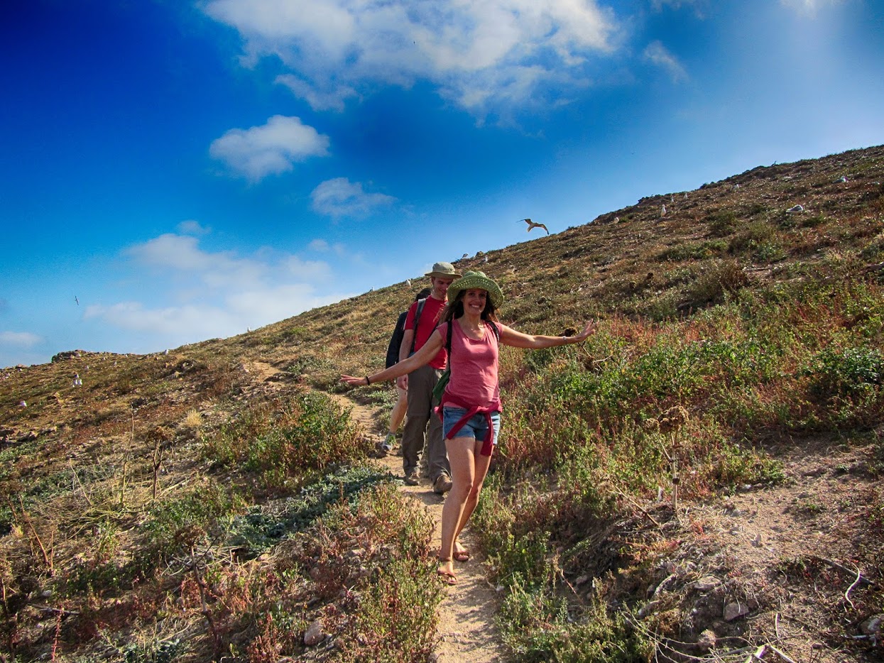 Trilho Ilha Velha na Berlenga