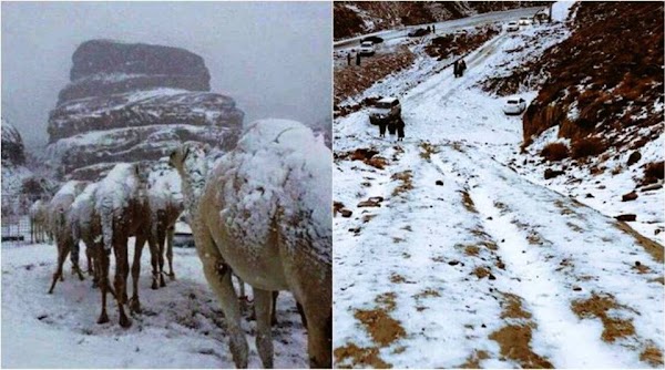 FOTOS,VIDEO: el desierto de arabia saudita se cubre de nieve. FOTOS,VIDEO: el desierto de arabia saudita se cubre de nieve.