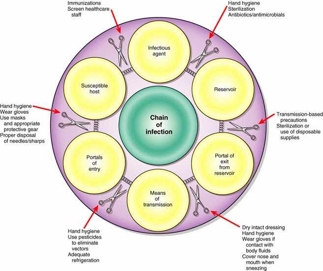 the-fantastic-world-of-microbiology-and-parasitology-breaking-the-chain-of-infection