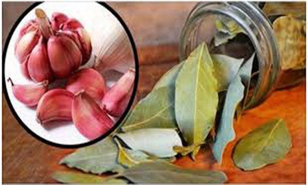 Mix 7 Garlic Cloves And 7 Bay Leaves, And See What Happened Later In The House. Mix 7 Garlic Cloves And 7 Bay Leaves, And See What Happened Later In The House.