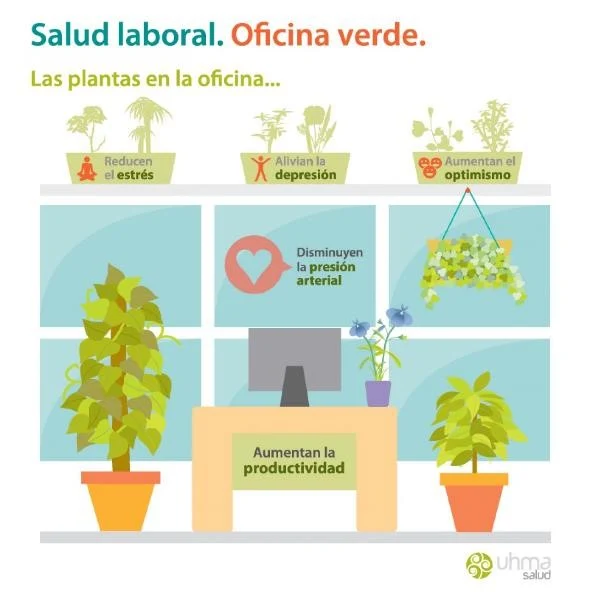 Importancia de las Plantas en el Ambiente de Trabajo u Oficina