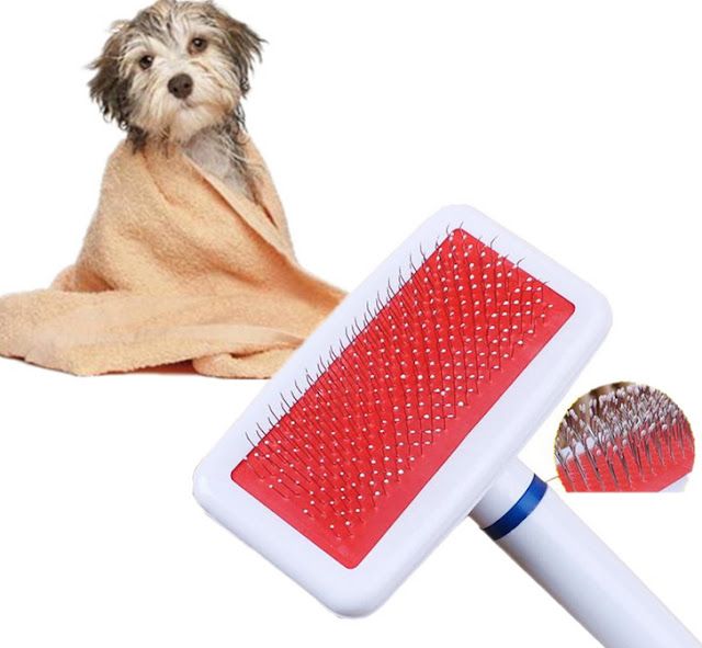 Dog Hair Loss Home Remedies Dog Hair Loss Home Remedies