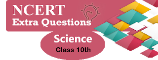 Important Questions for Class 10 Science