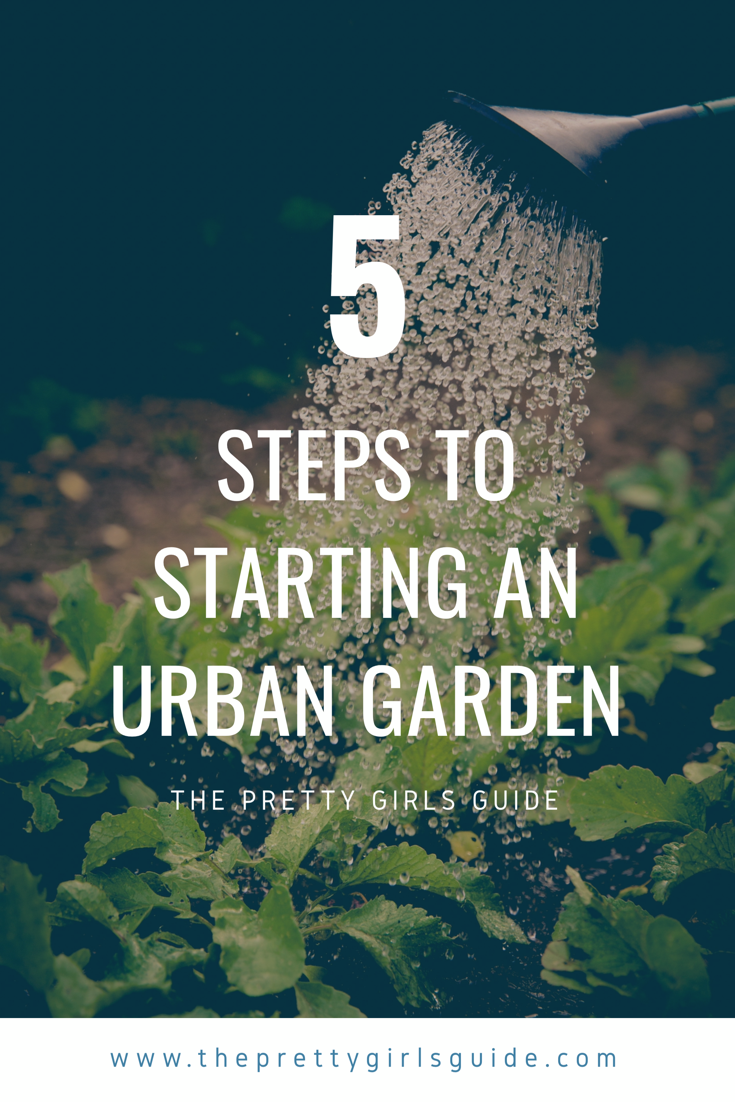 how to start an urban garden